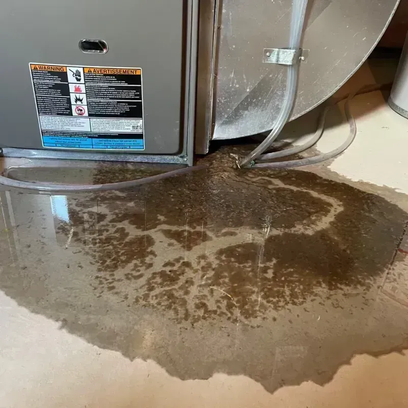 Appliance Leak Cleanup in Newark, IL